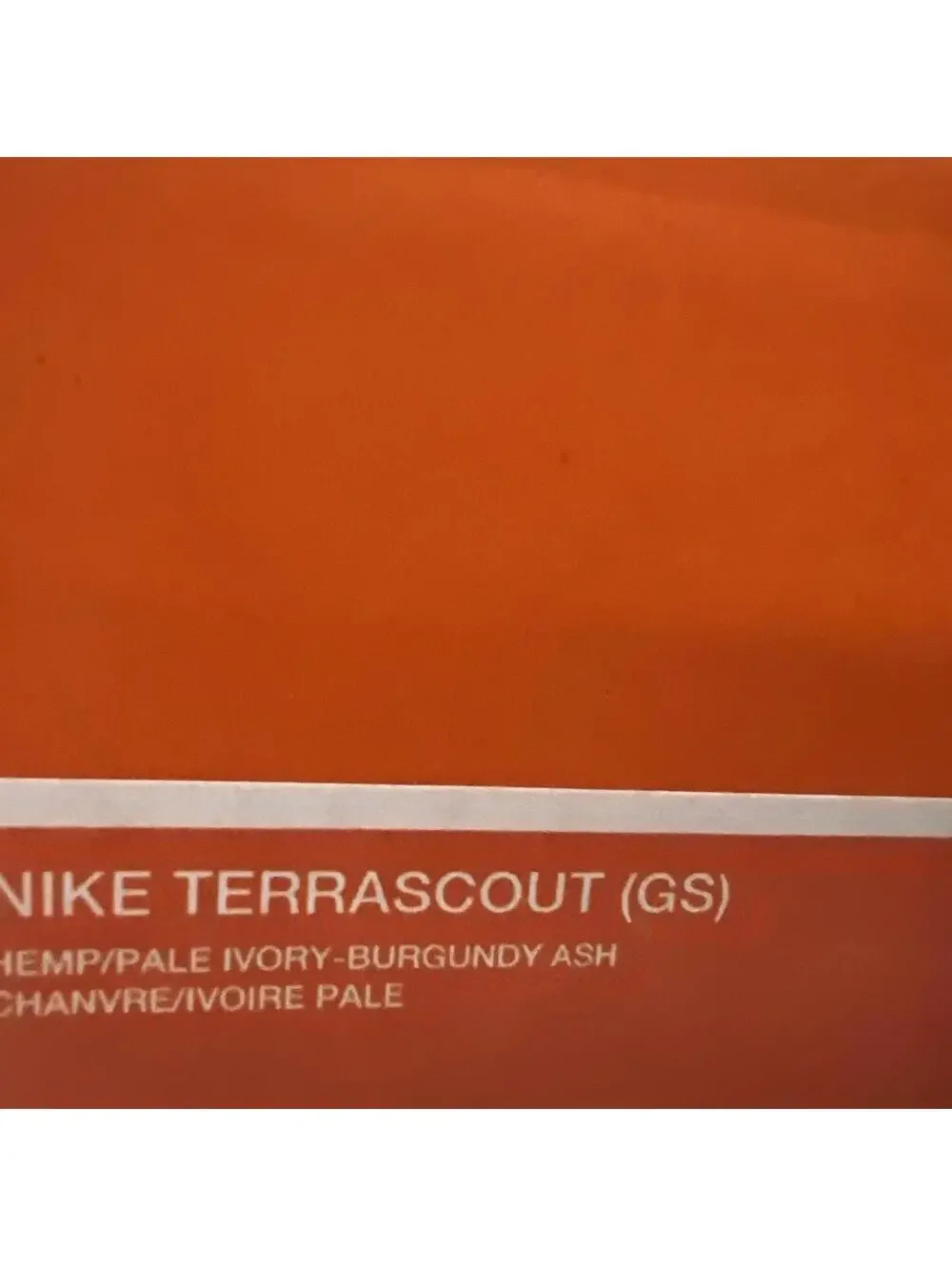 Nike Terrascout Gs Hemp Denim Turquoise FV4173-200 SIZE 3.5Y